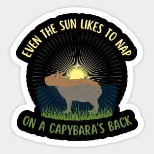 Even The Sun Likes To Nap On A Capybara's Back Sticker